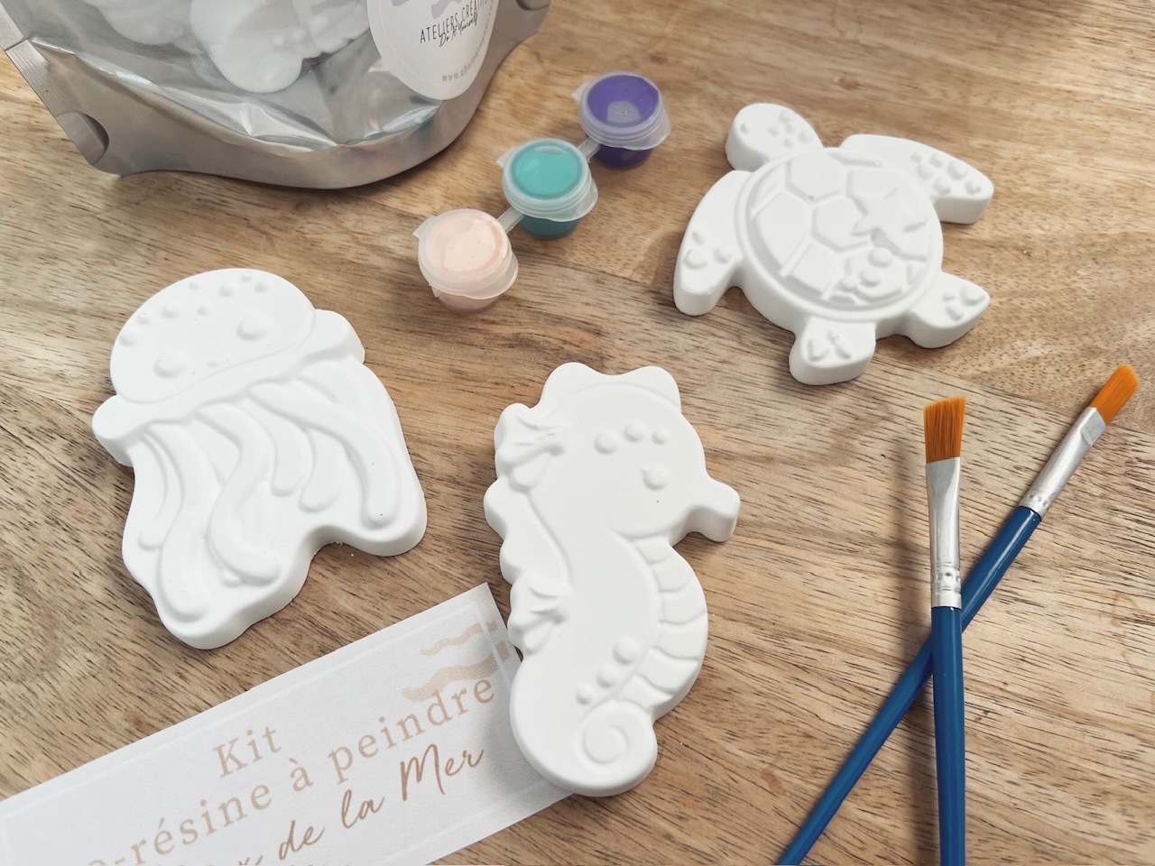 Kit DIY - Eco-Résine à Peindre - Thème Animaux de la Mer