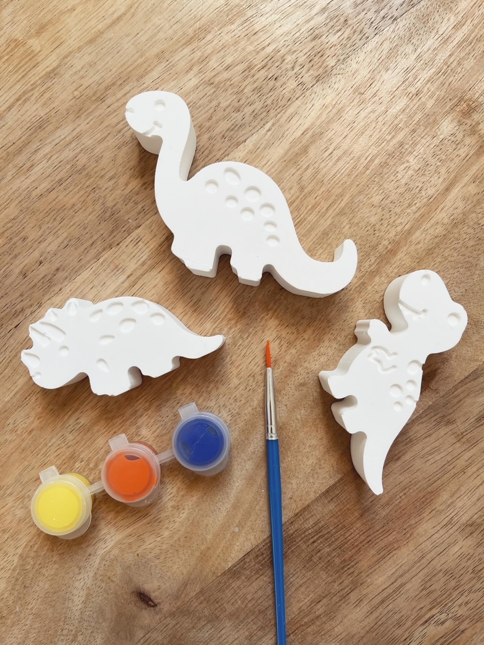 Kit DIY - Eco-Résine à Peindre - Thème Dinos